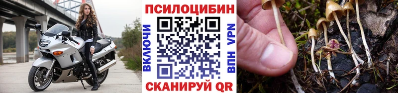 Галлюциногенные грибы мухоморы Купить Берёзовский